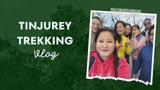 Gangtok Tinjurey Trekking-Fambong Lho Wildlife sanctuary/[part-1]/Fun/Himalaya/Sikkim/Nature Beauty