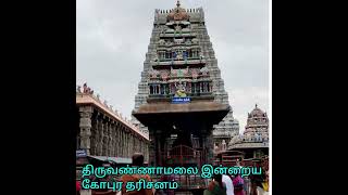 திருவண்ணாமலை கோவில் இன்றைய கோபுர தரிசனம்|sivan songs whatsapp status |Lord shiva Devotional Songs