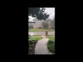 A strong storm hits Texas