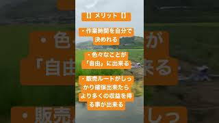 【簡単にまとめてみた】新規就農のメリットデメリット