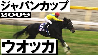 「ウオッカか！オウケンブルースリか！」【ジャパンカップ2009】