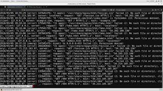 3 Reverse Proxy with proxy pass
