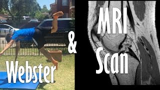 Webster \u0026 Loser (1 Day Progression) - Also MRI Results...