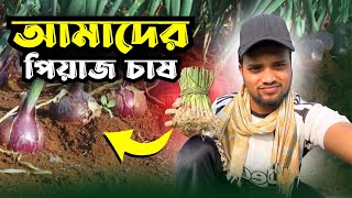 আমাদের পিয়াজ চাষের ছোট জমিন || Our small plot of onion cultivation || Priyo Zishan ,,,,