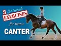 Top Three Canter Exercises for Eventers