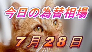 【FX】ドル、円、ユーロ、ポンド、豪ドルの為替相場の予想と前日の動きをチャートから解説。7月28日