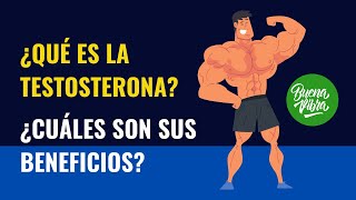 Para que sirve la testosterona (beneficios de la testosterona)