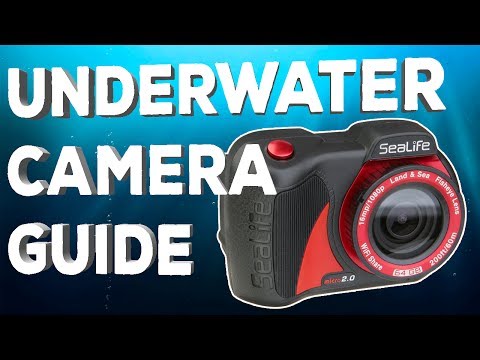 Underwater Camera Guide