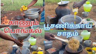 ஓராண்டு காலம் வயிற்றில் தங்கம் சாதம்/காணும் பொங்கல் சாதம்/பூசணிக்காய் சாதம்/காணத் தவறாதீர்கள் 🤣🥰🤣