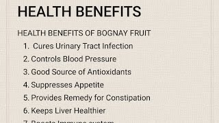 BOGNAY FRUIT || Local Wild Berry || Health Benefits of Bognay/Bignay Fruit | season 2