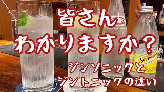 ジントニックとジンソニックの違い