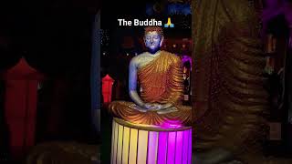 The Buddha🙏#inshot #viralvideo #viral #buddha #buddhist #buddhism #buddhiststory #buddies #god #lord