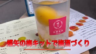 【蝶矢梅酒】蝶矢の梅キットで梅酒づくり❗️梅体験専門店（チョーヤ）お取り寄せ。