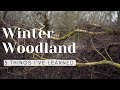 5 THINGS I've learned about woodland photography