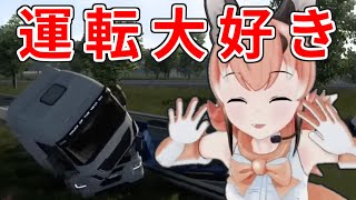 【ETS2】けもフレらしい運転をするカラカル【 #カラ騒ぎ ／ #けもV 切り抜き動画】