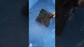 Waterproof axial cooling fan IP68 working in the water