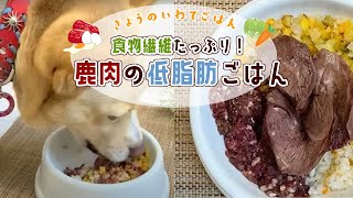 【簡単手作り犬ご飯】食物繊維たっぷり鹿肉の低脂肪ごはん【帝塚山ハウンドカム】