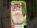 কাটা রবিরেখা shortvedio palmistry shorts palmistryshorts viralvideos youtubeshorts viral