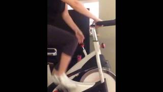 Sunny Health and Fitness Indoor Bike SFB1509