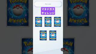 マタドガスチャレンジで笑顔になるペグ蔵 #ポケポケ #ポケポケ開封チャレンジ #pokemontcg #ポケカ #ポケモン #pokemon #ポケカ開封