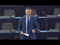 valter flego 15 jan 2020 plenary speech on the future of europe