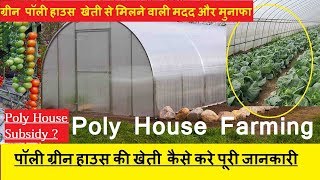 पॉली हाउस कैसे बनाये | POLY HOUSE AGRICULTURE HINDI | ग्रीन हाउस खेती पॉली हाउस कैसे बनाये | POLY HOUSE AGRICULTURE HINDI | ग्रीन हाउस खेती