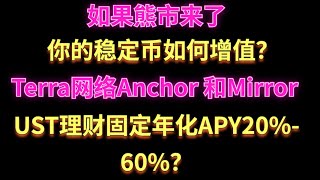 熊市来了，如何在terra网络上将稳定币UST理财做到固定年化APY20%-60%？Anchor protocol和Mirror protocol上的套娃操作指南， 累计投资200万美金#luna