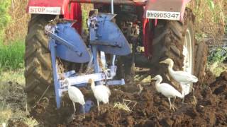 MASSEY FERGUSON 35 HP DOUBLE REVERSIBLE PLOUGH