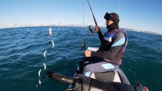 Catching Live Bait Fish on Sabiki Jig Rig - Blue Slimy Japanese Mackerel