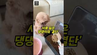 사료가 점점 줄어들자…