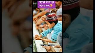 আমি হতে চাই সেরা মুসলিম Islamic gojol | Islamic song | Islamic status | Islamic waz | Islamic Video