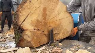 Mega big oak wood splitting 🪓🪓🪓🌳🌳🌳