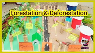 Forestation and deforestation model | Working project | Science project model| D3 model |save forest