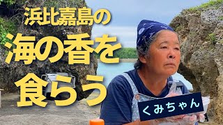 浜比嘉島の　海の香を　食らう