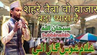 शहरे तैबा का वो बाज़ार बड़ा प्यारा है- Naat status Shahre Taiba Ka Wo Bazar Bada Pyara hai