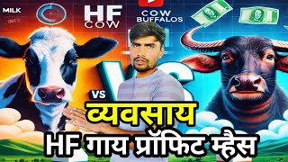 HF गाईंचा व्यवसाय vs म्हशींचा व्यवसायः कोणता फायदेशीर आहे?