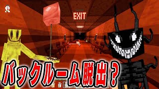 【バックルーム】これがバックルームの？？？…後編！【あくまで個人戦クラフト】