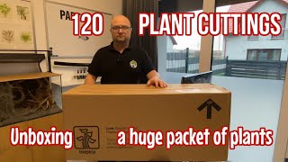 NEARLY 120 PACKS OF PLANTS FOR 8 AQUARIA | Tropica Aquarium Plants in Action!