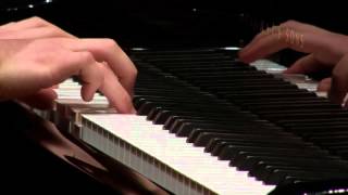 Leonardo Colafelice, Schubert - Moment Musical n. 4