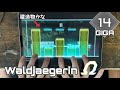 【CHORD chart】Waldjaegerin(GIGA) All PERFECT OMEGA Rank【Dynamix】