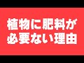 【図解】菌根菌の世界【植物に不可欠なパートナー】（VA菌根菌・マイコス・AM菌・菌ちゃん農法・有機農法・自然農）