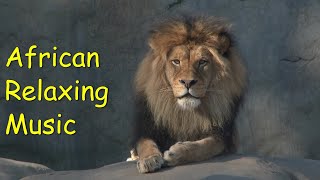 African Relaxing Music | Lion roar sound | Rugido do Leão | Musica africana Relax | Saxophone