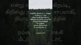 சாபக்கட்டுகளை உடைத்தல் |கலாத்தியர் 3:13 |#shorts #breakingcurses #tamilbibleverse #tamilbible