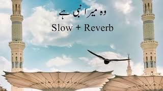 Wo Mera Nabi hai |New Naat 2023|Best naat|naat sharif| 2023  naat|Naat with lyrics| urdu naat lyrics