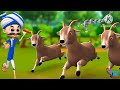 ஆடு மேய்ப்பவரும் காட்டு ஆடுகளும் the goatherd u0026 the wild goats 🐐