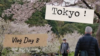 พาแม่ชมซากุระบานที่พระราชวังอิมพีเรียล โตเกียว #tokyovlog  #cherryblossom