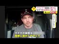 アライグマ 屋根に刺さる　なぜ 救出男性に聞いた 2021 05 02