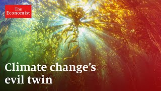 Climate change: what is ocean acidification?