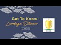 Get To Know : Lembaga Otonom (CIES)