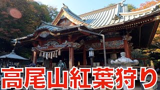 高尾山へ紅葉狩り（まだ早かったです）Mount Takao, November 4th